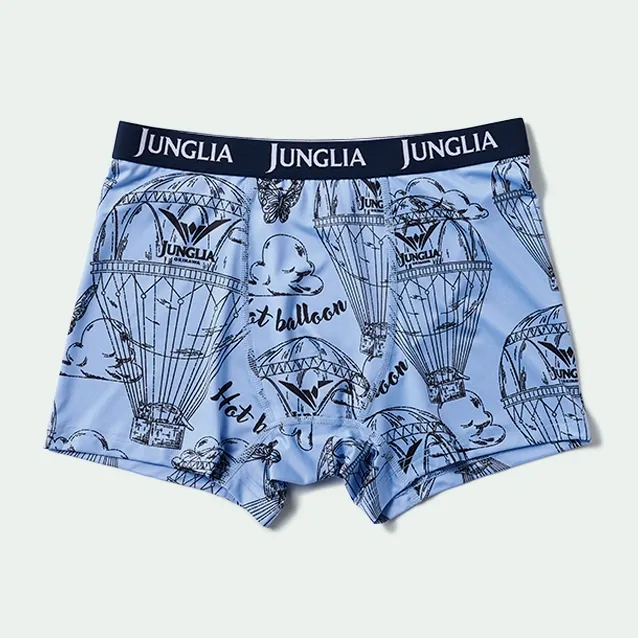 Boxer Briefs 2
