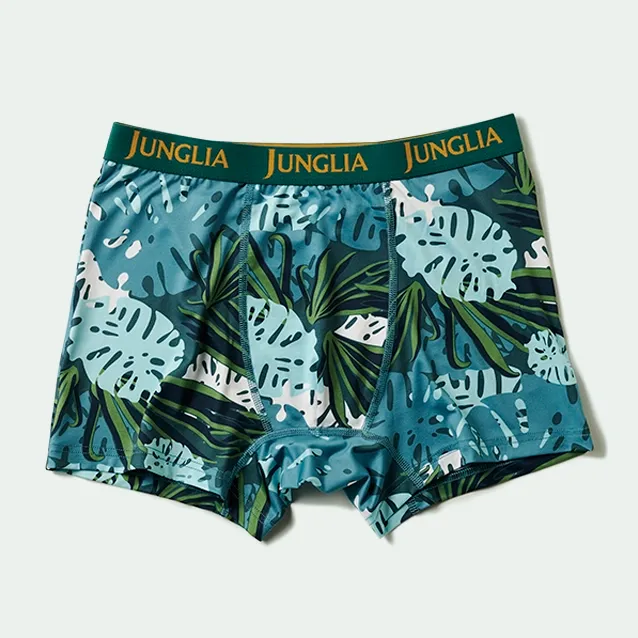 Boxer Briefs 1