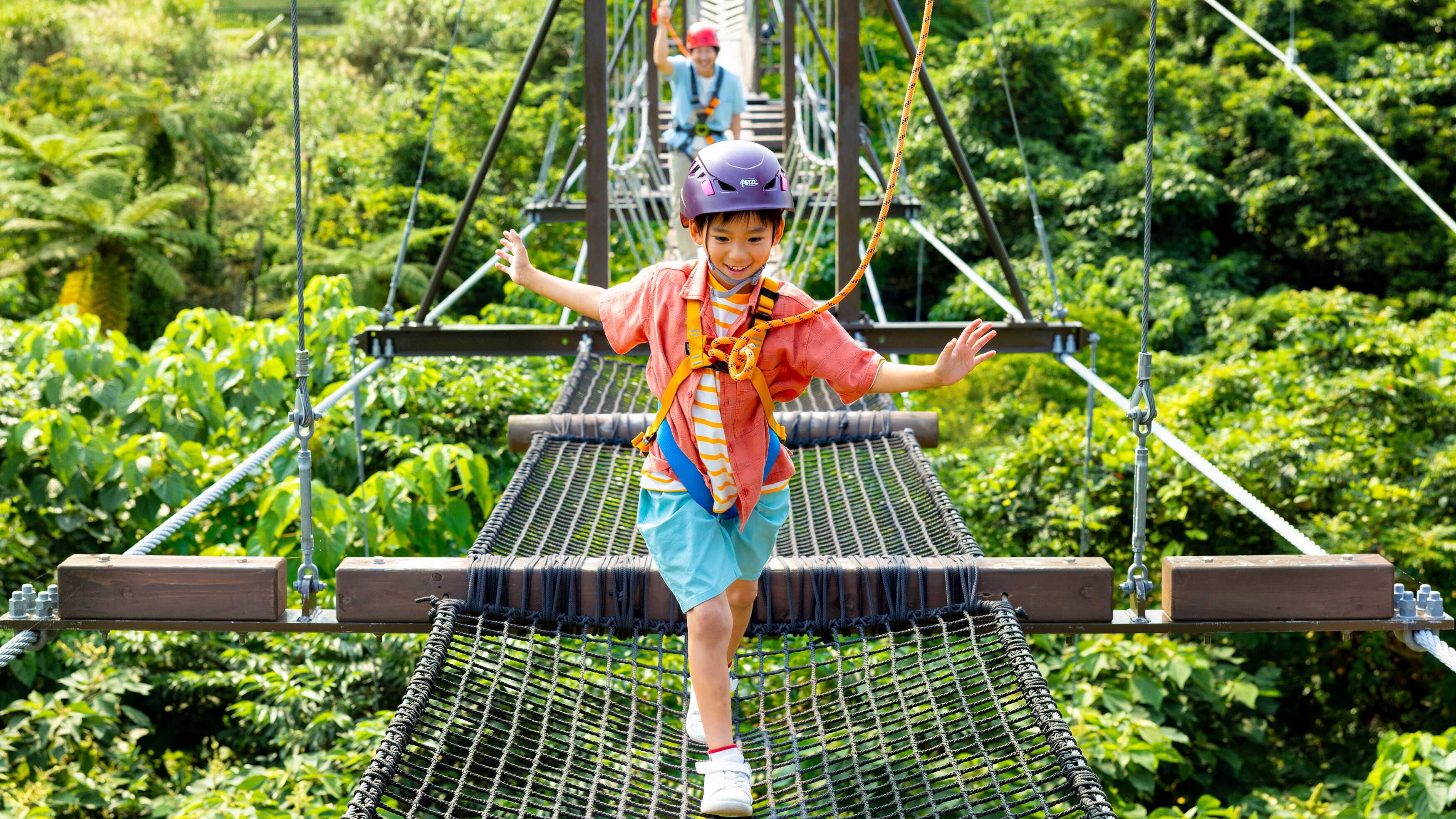 TREE-TOP TREKKING