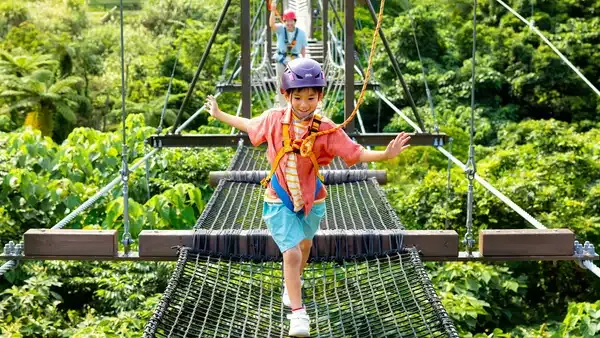 TREE-TOP TREKKING
