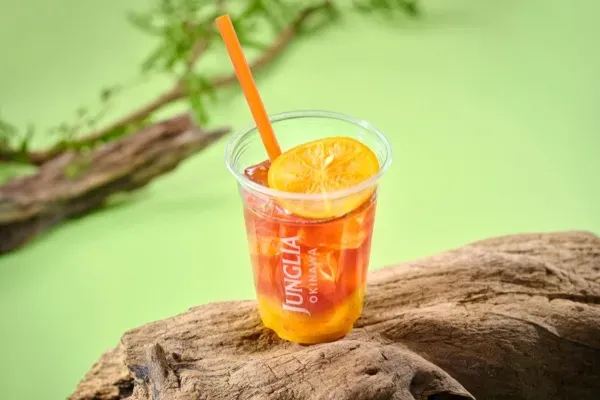 SUNサンティー